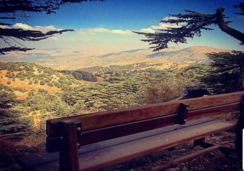 Boustany Guest House Image 33